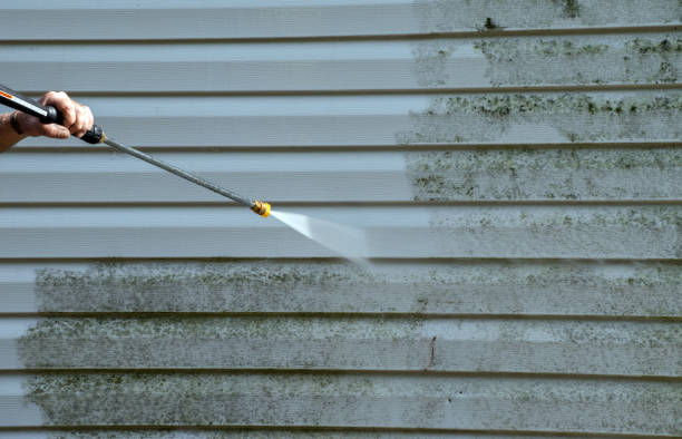 Pressure Washing Contractors in Sealy, TX