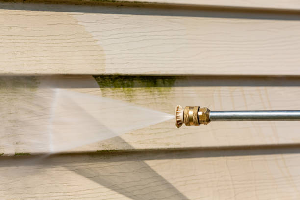 Best Local Pressure Washing Services  in Sealy, TX