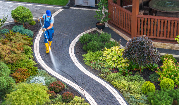Best Deck Cleaning Services  in Sealy, TX