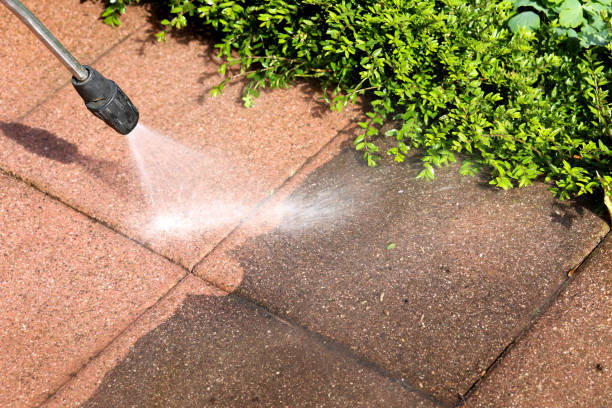 Local Pressure Washing Services in Sealy, TX